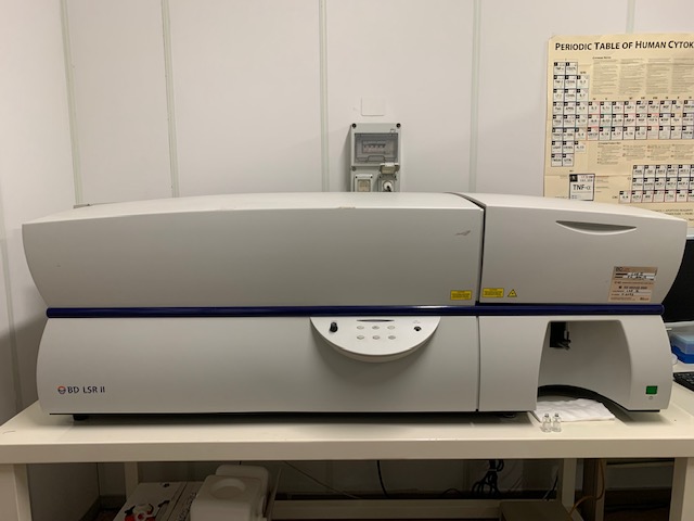 IMG_8210_LSR II 4 laser